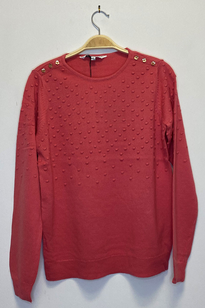 Pull femme ras de cou Bojana Magasins Bleus